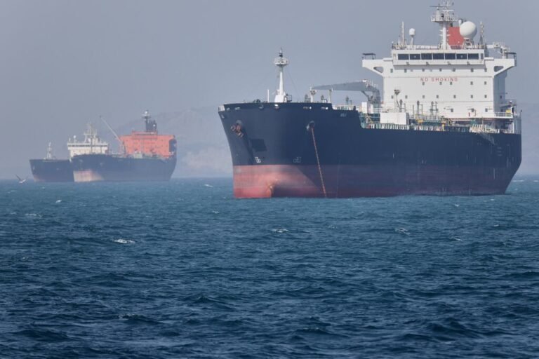 El canal por el que pasaba el 20% del petroleo mundial está bloqueado desde el comienzo de la guerra con Estados Unidos e Israel