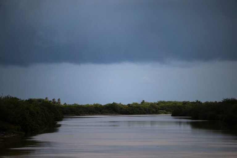 El DRNA inició el proceso para delinear los planes de acción para atender los espacios más impactados, en los que destacan las cuencas de los ríos