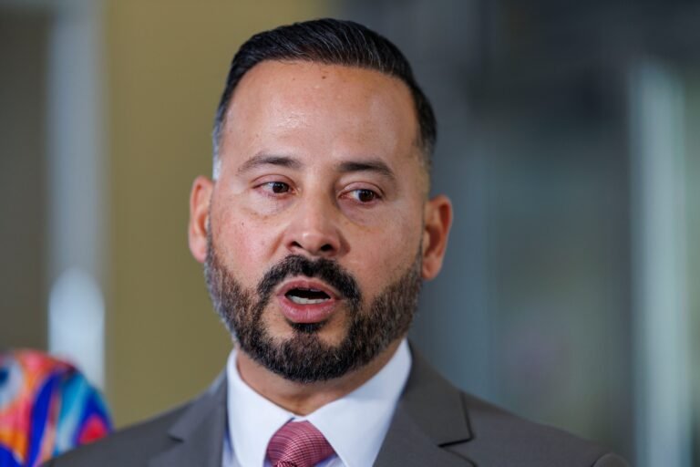 Aún está por definirse si el recurso se radicará a través del Senado, confirmó el portavoz del PPD, Luis Javier Hernández