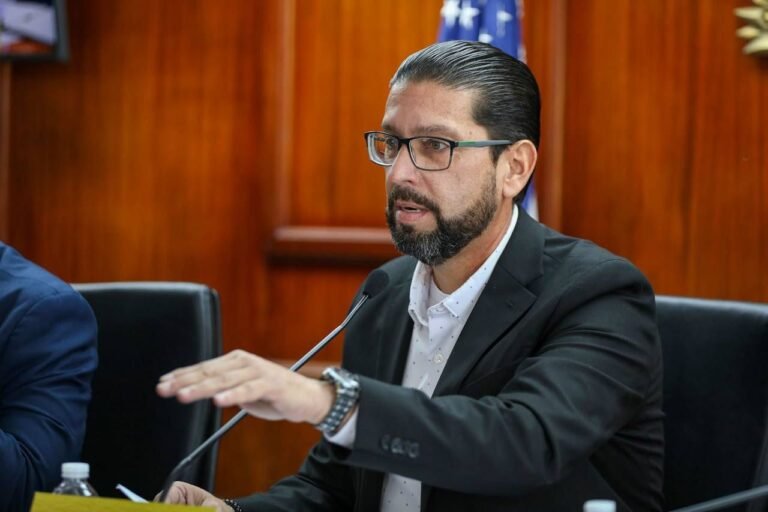 La medida, por ejemplo, incorpora la telemedicina y el cuidado de la salud mental perinatal, explicó su autor, Gabriel Rodríguez Aguiló