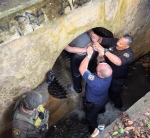HSI informó que era buscado por narcotráfico, conspiración y delitos con armas de fuego