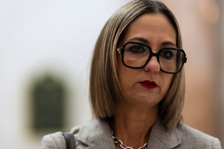La directora de HSI en San Juan, Rebecca González, respondió, además, a la denuncia sobre supuestos agentes que vaciaron las gomas de la camioneta de un obrero inmigrante para atraparlo, en Barrio Obrero