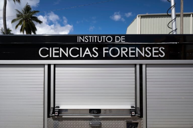 Una antropóloga forense determinó que el cráneo presentaba una herida de bala