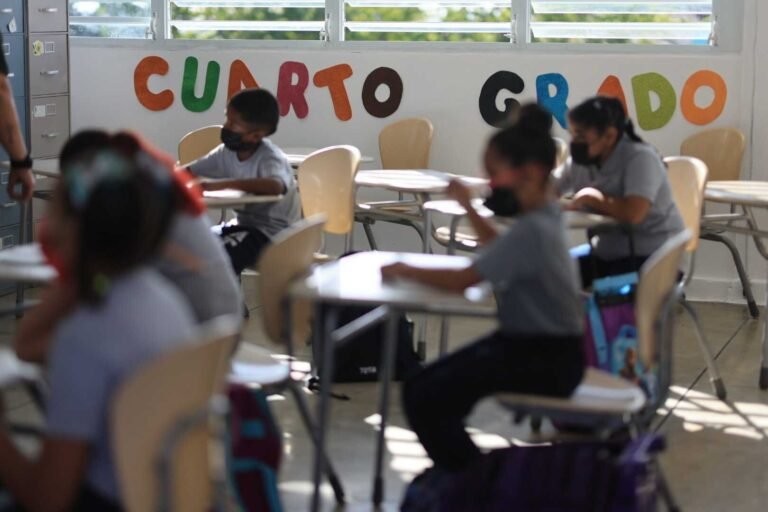 La organización Sembrado Sentido analizó por cuatro años cómo se distribuye el presupuesto de la agencia