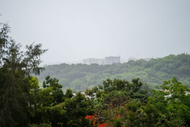 Las temperaturas también se mantendrán por encima de lo normal