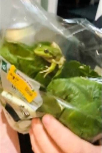 La cadena Woolworths aseguró que se trató de un incidente aislado y que revisa el caso junto a sus proveedores