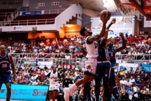 Leones y Osos BSN