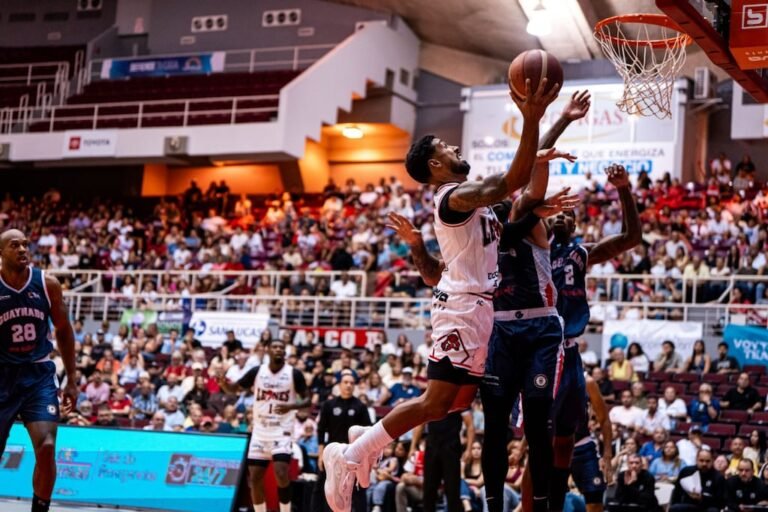 Leones y Osos BSN