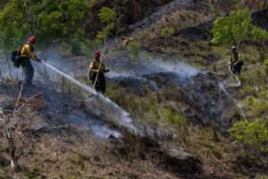 calor e incendios en Puerto Rico
