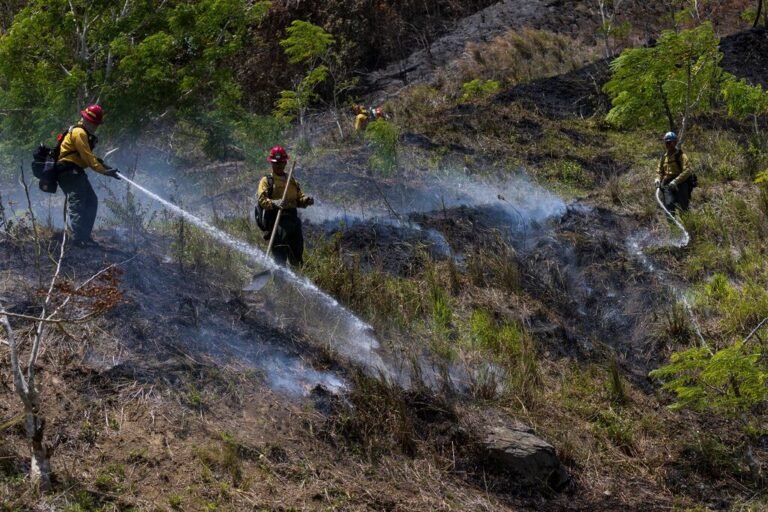 calor e incendios en Puerto Rico