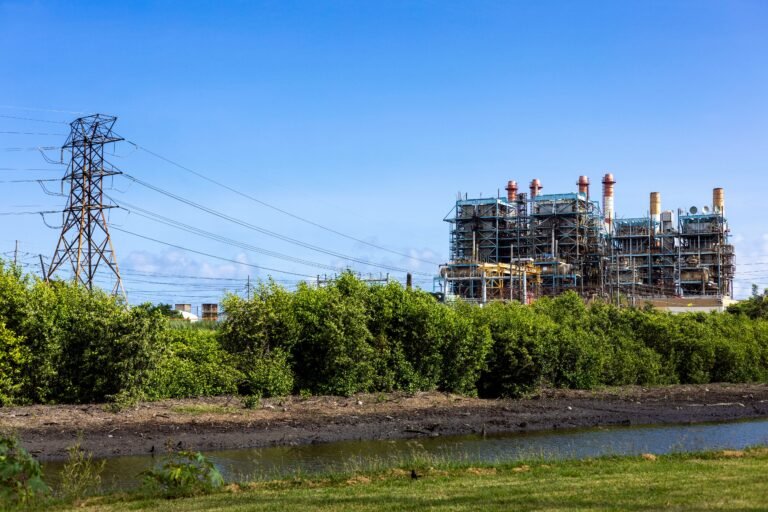 Entidades jurídicas apoyan la orden de realizar un estudio ambiental previo al uso de fondos millonarios para la red eléctrica en Puerto Rico.
