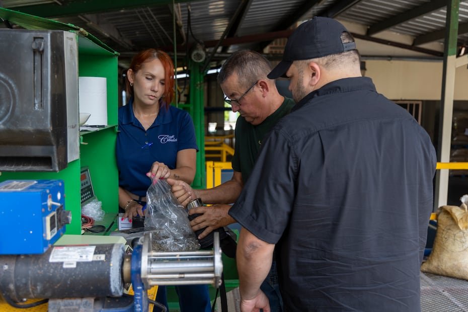 Como parte del proceso de elaborar el café, los empleados de la cooperativa inspeccionan y miden el nivel de humedad en los granos.