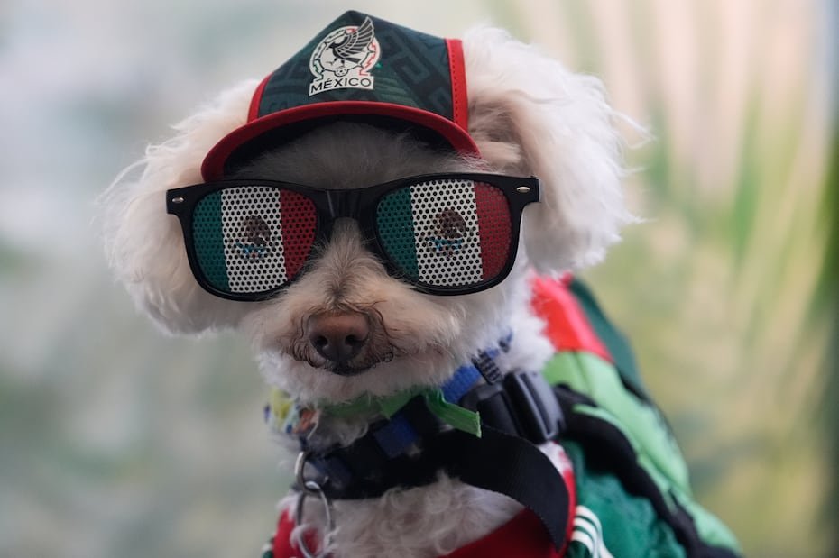 Mientras la fiebre del Mundial se apodera de la Ciudad de México, uno de los grandes favoritos de la afición del torneo no es ni un jugador, ni un entrenador, ni la mascota oficial.