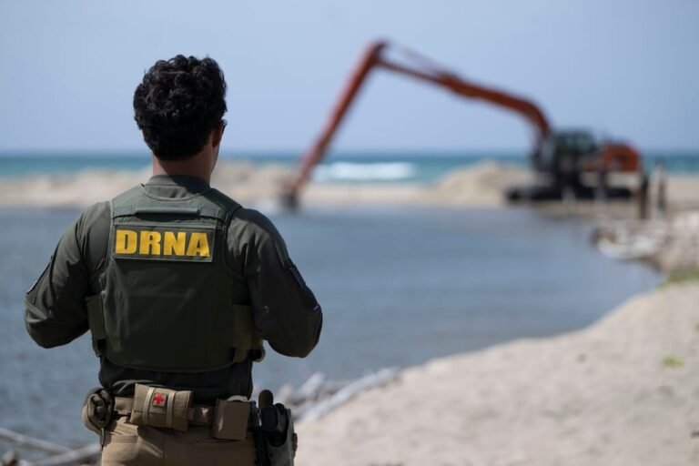 rescate de manatíes
