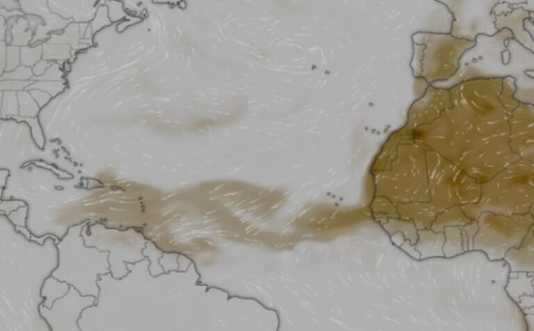 calor y polvo del Sahara