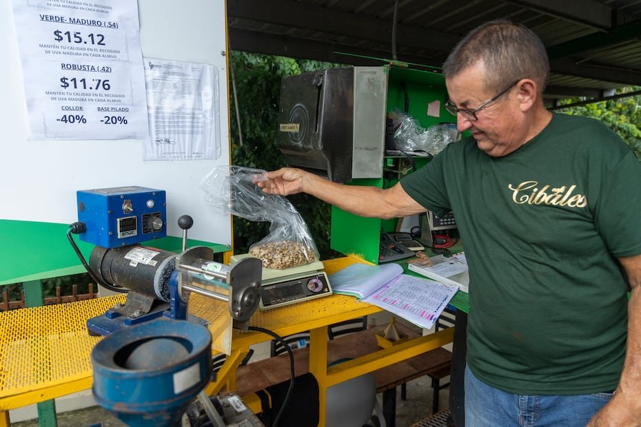 Los orígenes de la cooperativa se forjaron en los campos de Ciales hace más de 90 años.