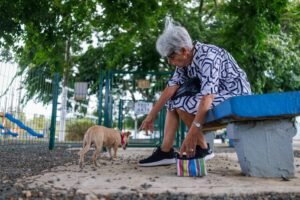 envenenamiento de animales