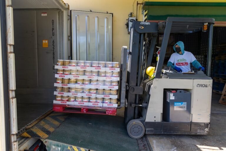 guía de exportación
