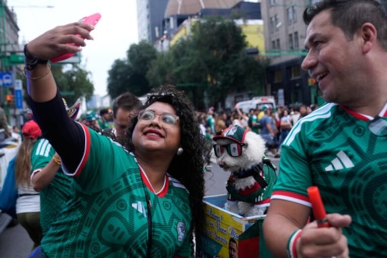Osito perro Mundial