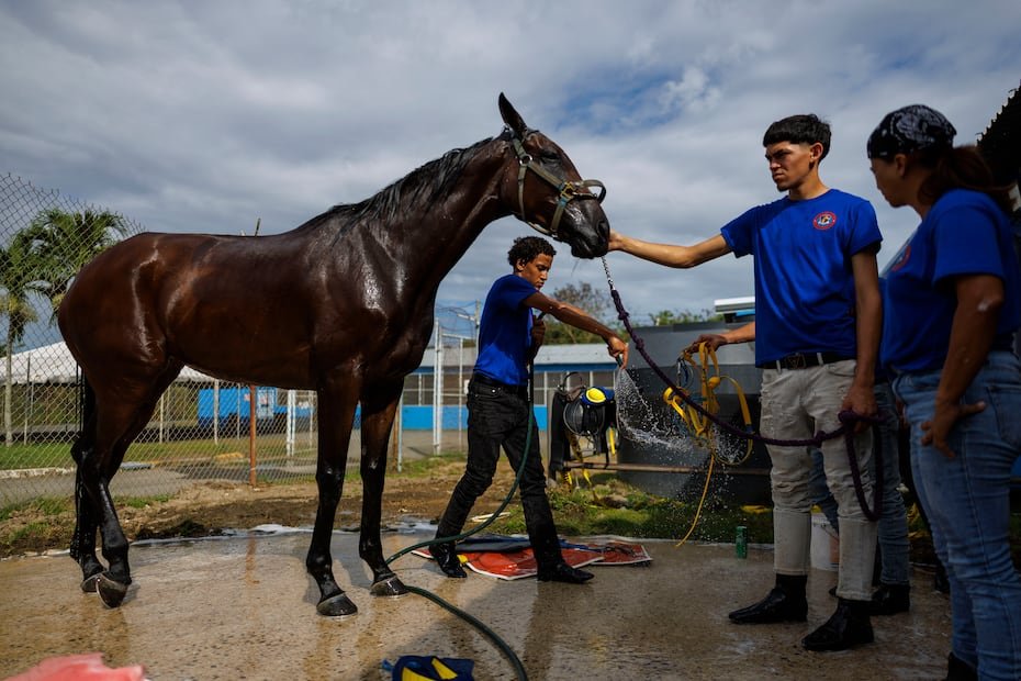 El Nuevo Día acompañó a los estudiantes durante una jornada en el Hipódromo Camarero.