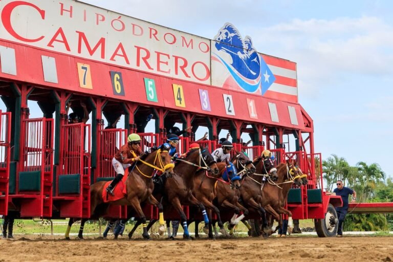 Copa Gobernador