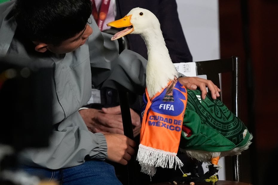 Christian Gomez interactúa con su pato Merlín.