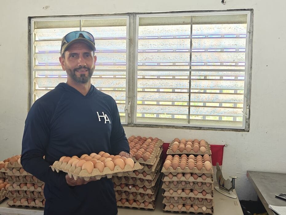 El concepto de Hacienda Almácigo es vender el producto directo al consumidor sin intermediarios, brindándole mayor frescura y mejores precios.