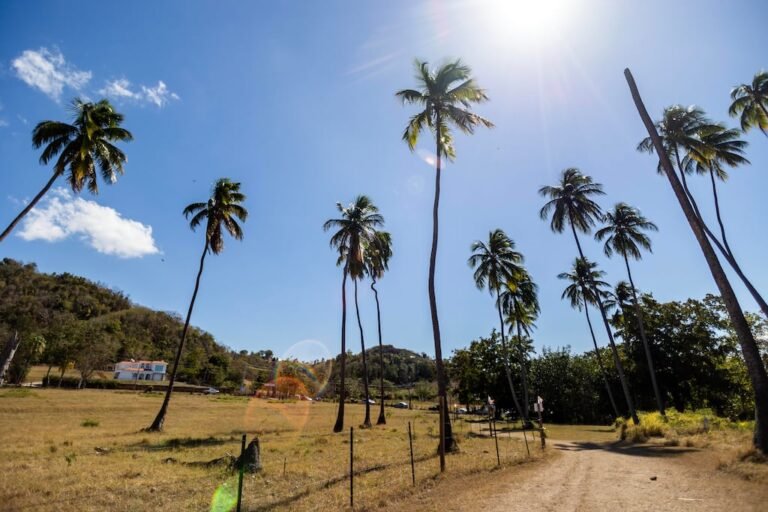 Paseo Ciclista Rincón