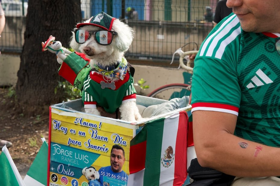 Junto al pato Merlín, en el panteón de aquellos que se ganan el corazón de todos, se encuentra Osito.