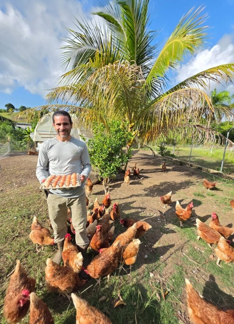 certificación agricultores bonafides