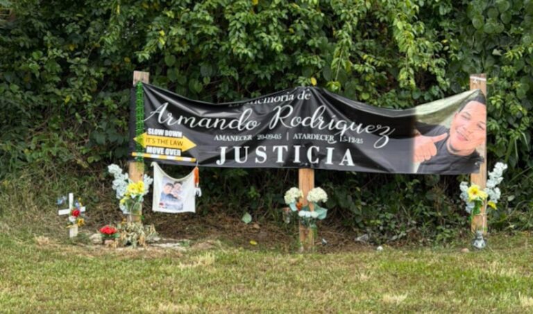 gruero arrollado en Caguas