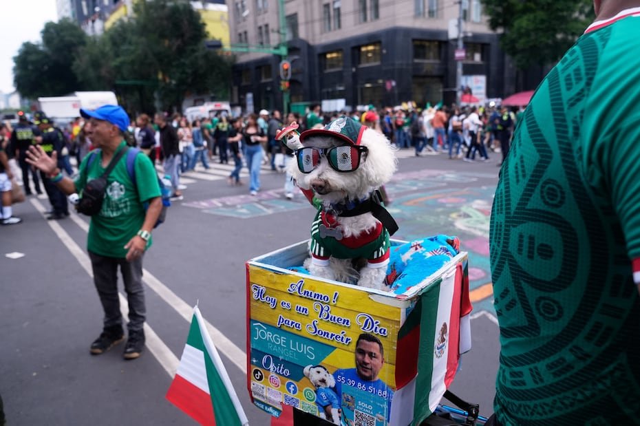 Mientras miles de aficionados se dirigían en masa al estadio la semana pasada para el partido inaugural del torneo, muchos se detuvieron para hacer fotos, acariciar al perro y publicar vídeos en Internet.
