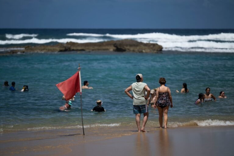La nueva app Swim Safe PR 2.0 ofrece alertas en tiempo real sobre condiciones marítimas en la isla.