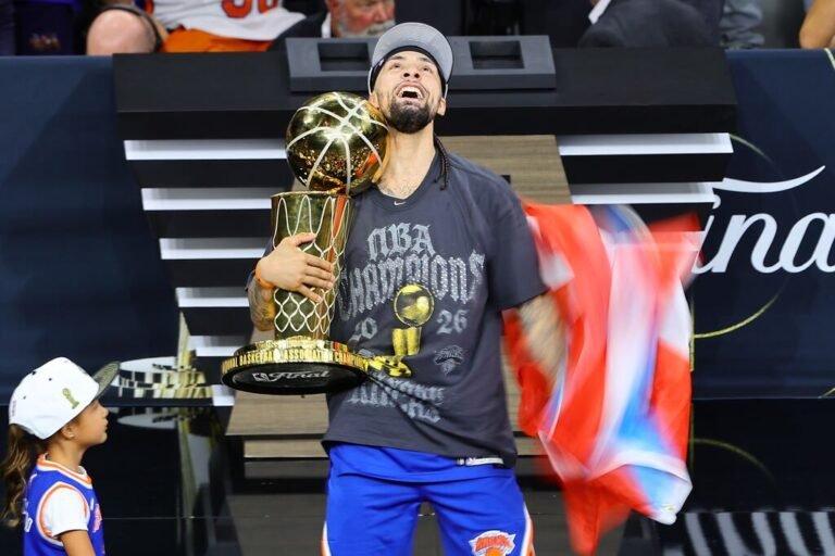 José Alvarado NBA
