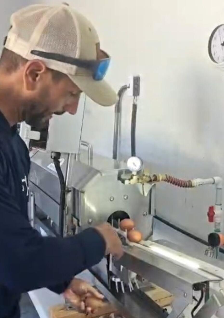 Alberto Manuel Torres Quiñones, propietario de la Hacienda Almácigo, inspecciona parte de su producción diaria de huevos.