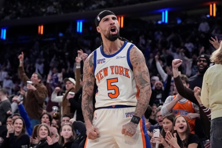 José Alvarado Knicks