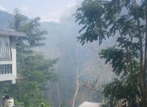 incendio forestal Carolina