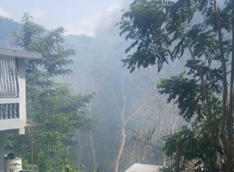 incendio forestal Carolina
