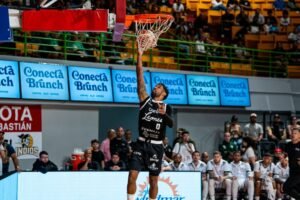 Leones de Ponce