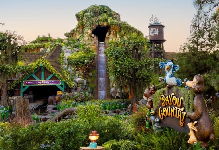 caída en Disneyland