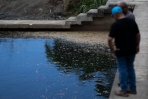 contaminación de aceite