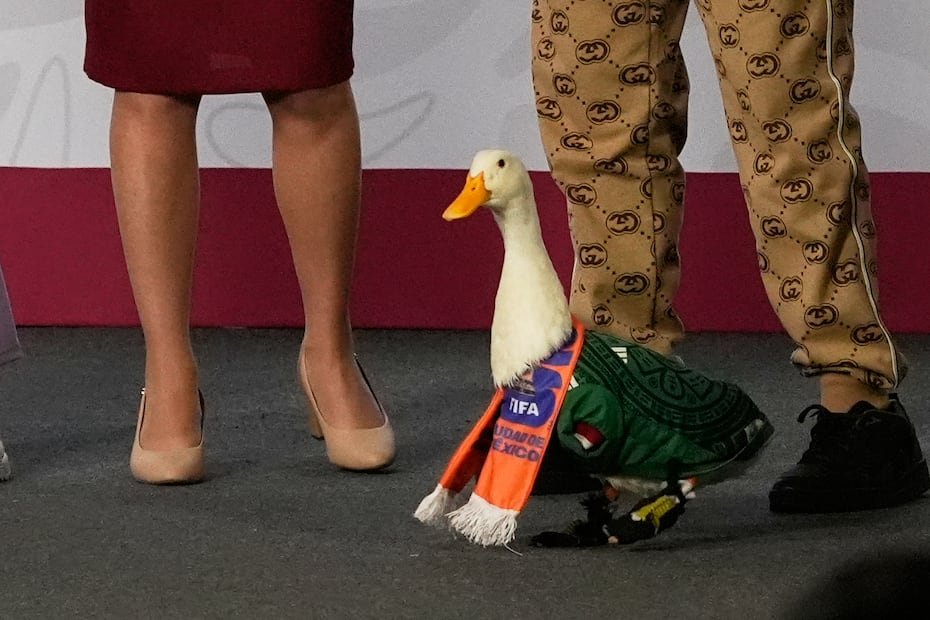 Merlín, el animal que se convirtió en la mascota mexicana de este Mundial, no respondió a las preguntas; lo hizo su dueña, Carla Gómez.
