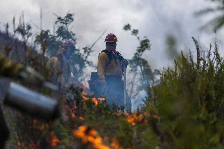 incendio forestal Gurabo