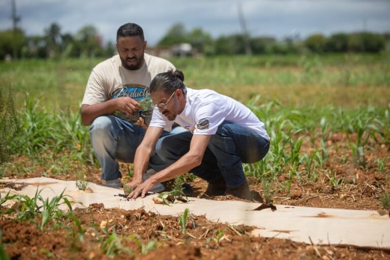 industria de especias en Puerto Rico