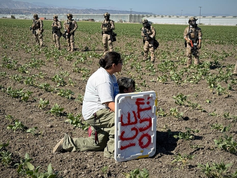 Después de que los agentes de inmigración llegaron a la finca de Glass House en Camarillo el jueves por la mañana, los trabajadores llamaron a sus familiares para informarles que las autoridades estaban allí.
