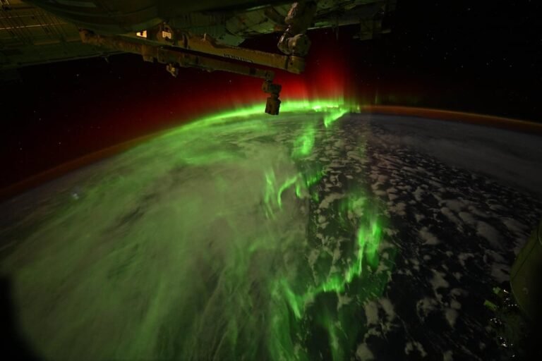 auroras australes