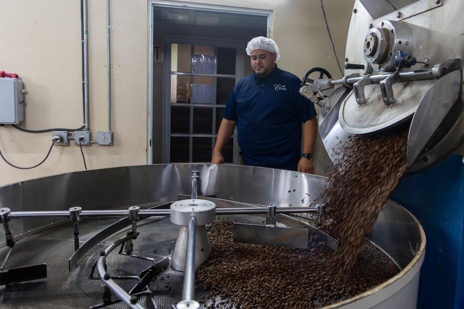 La Cooperativa aspira a que haya más siembra de café en Puerto Rico, al menos 2% adicional de producción local, lo que representaría mayores beneficios económicos para los agricultores.