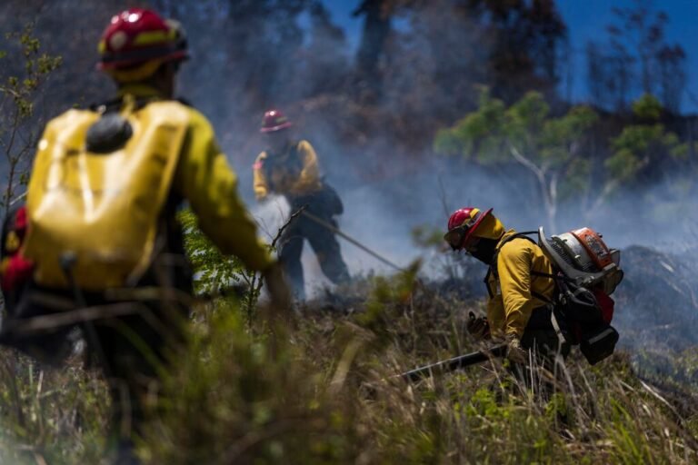 incendios forestales