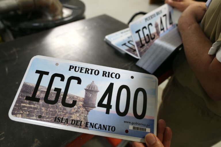 En 2002, se emitió una placa en conmemoración del 50 aniversario del ELA, que al igual que la actual, generó diversidad de opiniones