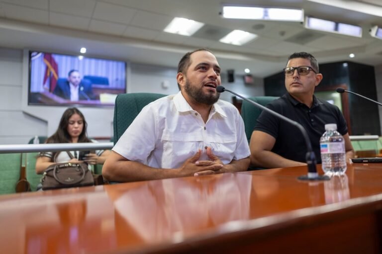 presiones políticas vendedores ambulantes